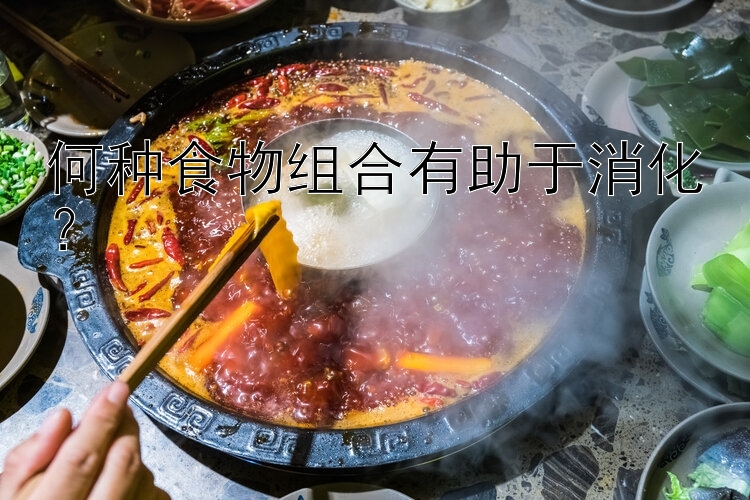 何种食物组合有助于消化？