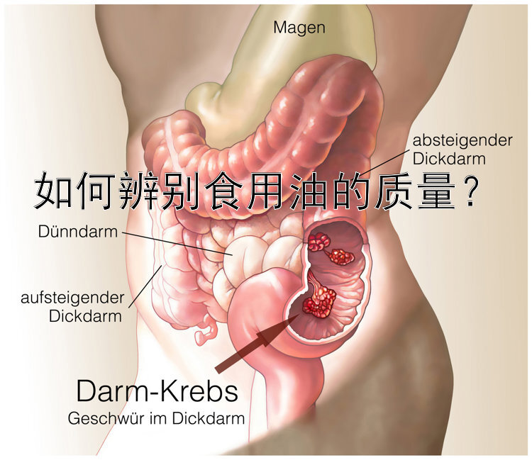 如何辨别食用油的质量？