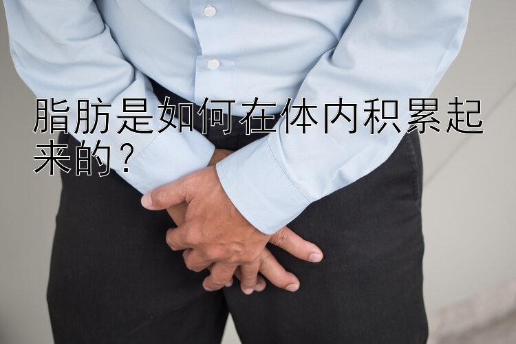 脂肪是如何在体内积累起来的？