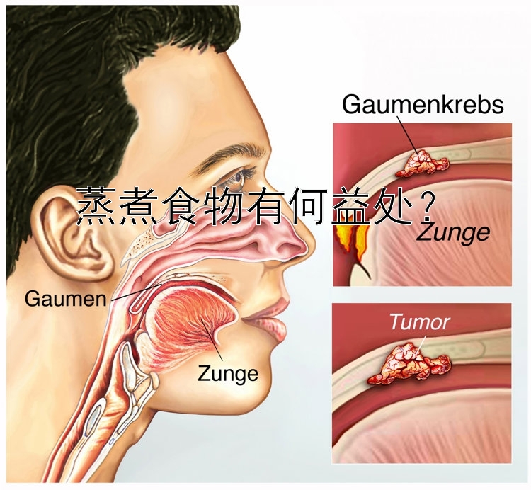 蒸煮食物有何益处？