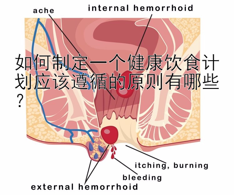 如何制定一个健康饮食计划应该遵循的原则有哪些？