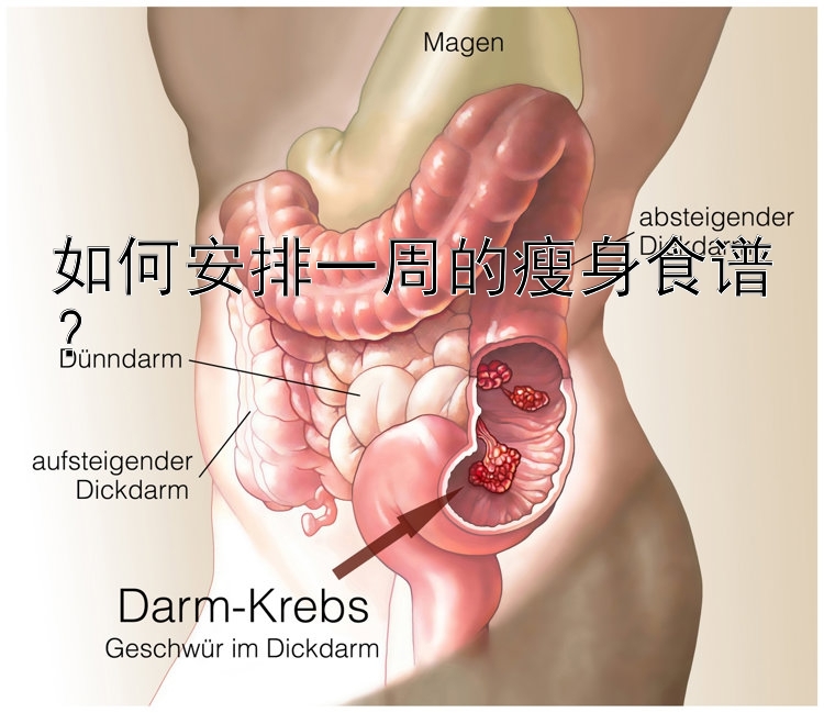 如何安排一周的瘦身食谱？