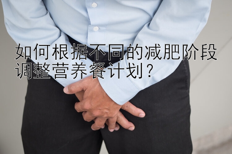 如何根据不同的减肥阶段调整营养餐计划？