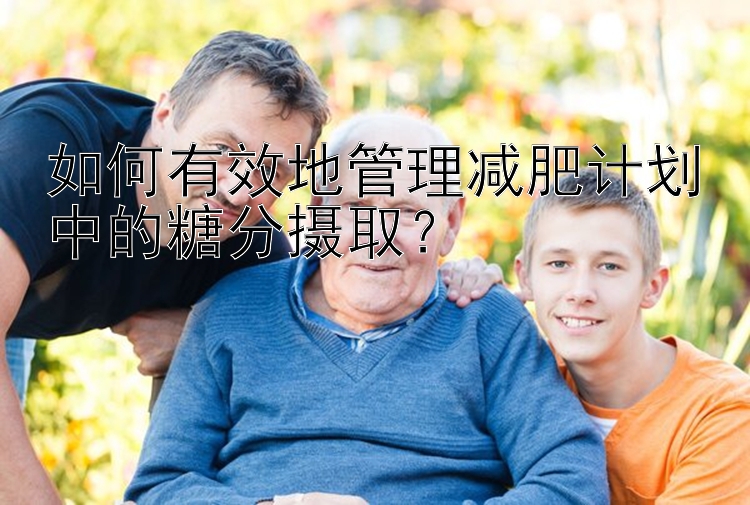 如何有效地管理减肥计划中的糖分摄取？