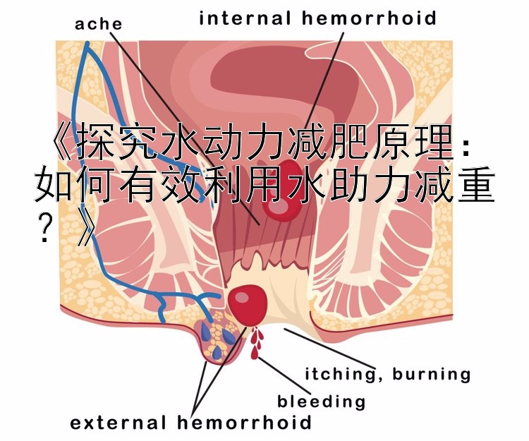 《探究水动力减肥原理：如何有效利用水助力减重？》