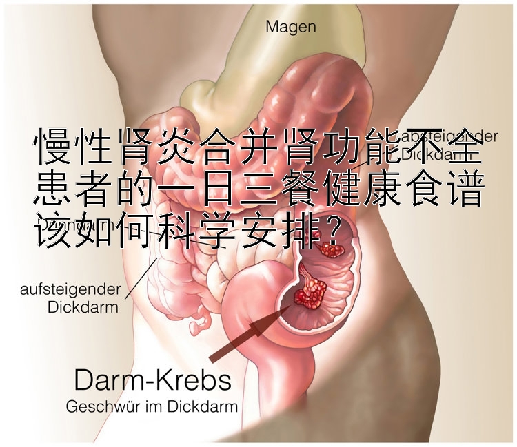 慢性肾炎合并肾功能不全患者的一日三餐健康食谱该如何科学安排？