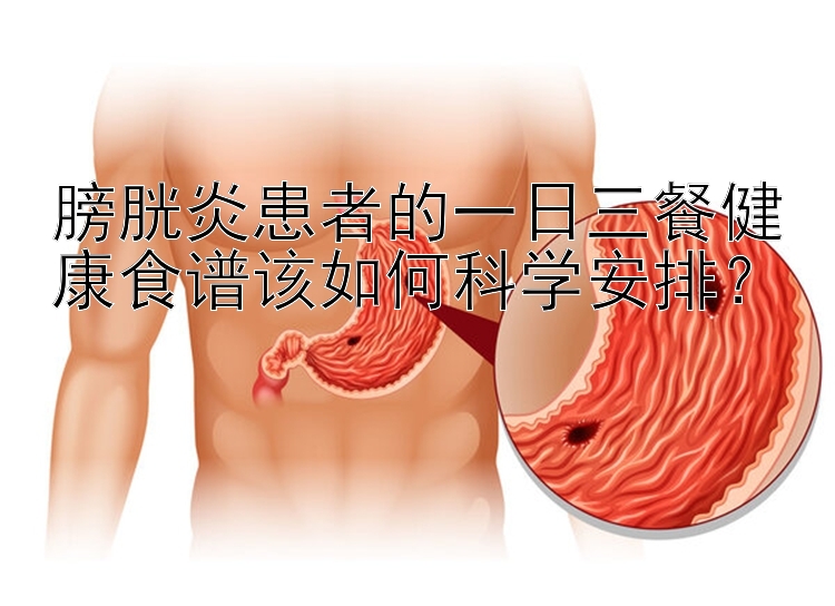 膀胱炎患者的一日三餐健康食谱该如何科学安排？